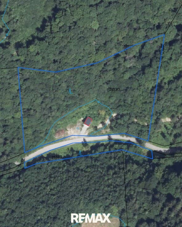 Großes Waldgrundstück bei Kirchberg an der Pielach