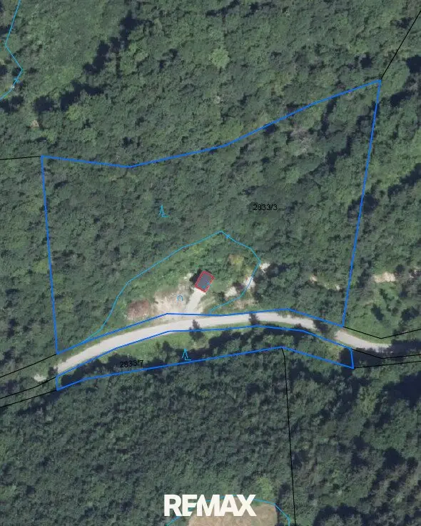 Großes Waldgrundstück bei Kirchberg an der Pielach