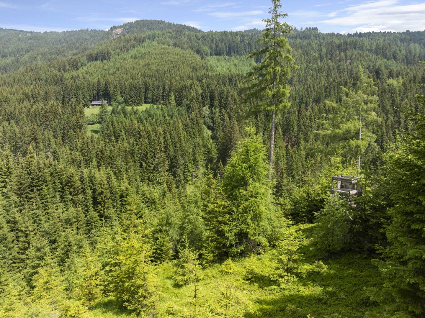 Ein Tal nur für Sie - Exklusives Naturanwesen mit Eigenjagd