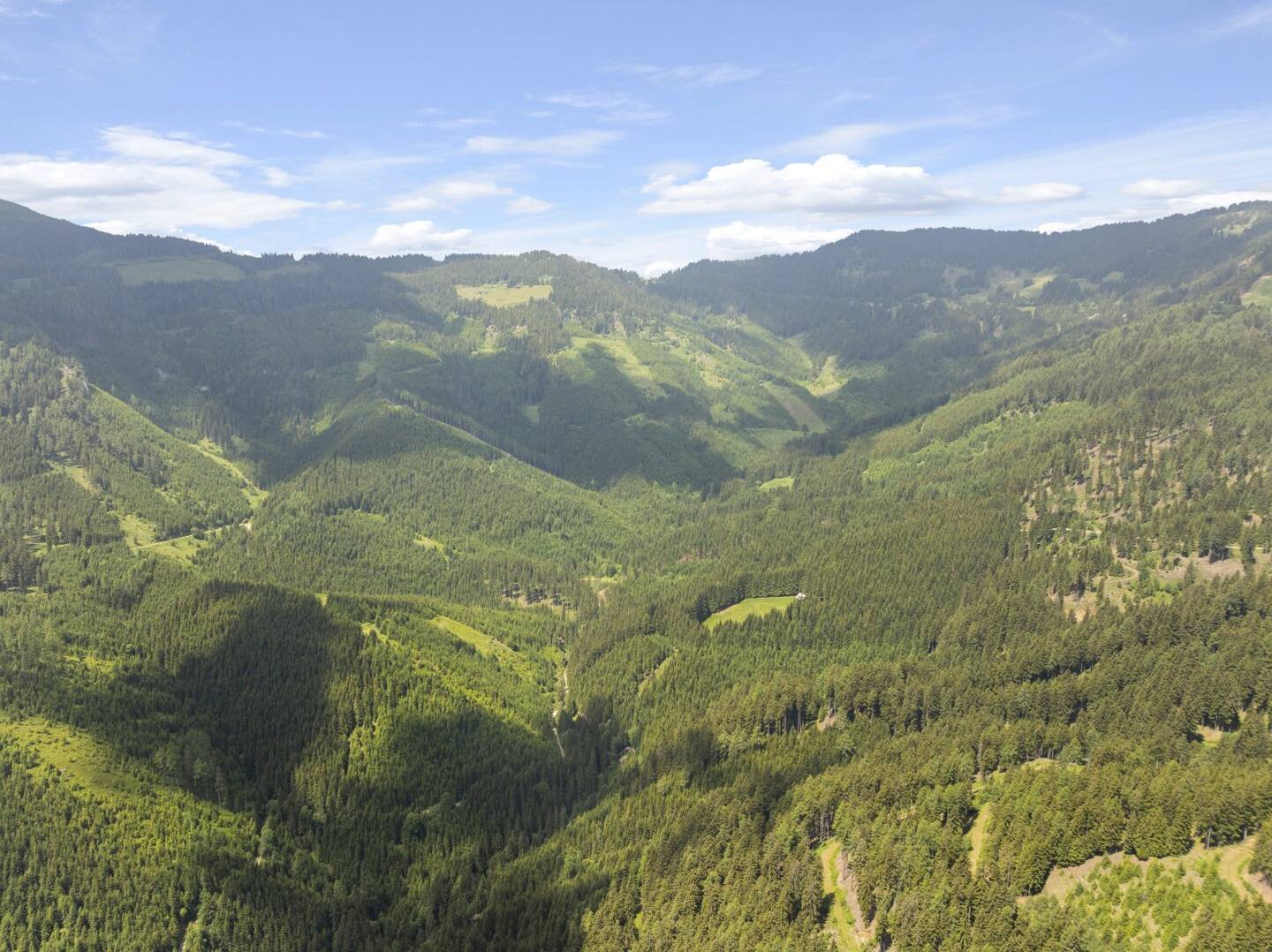 Ein Tal nur für Sie - Exklusives Naturanwesen mit Eigenjagd