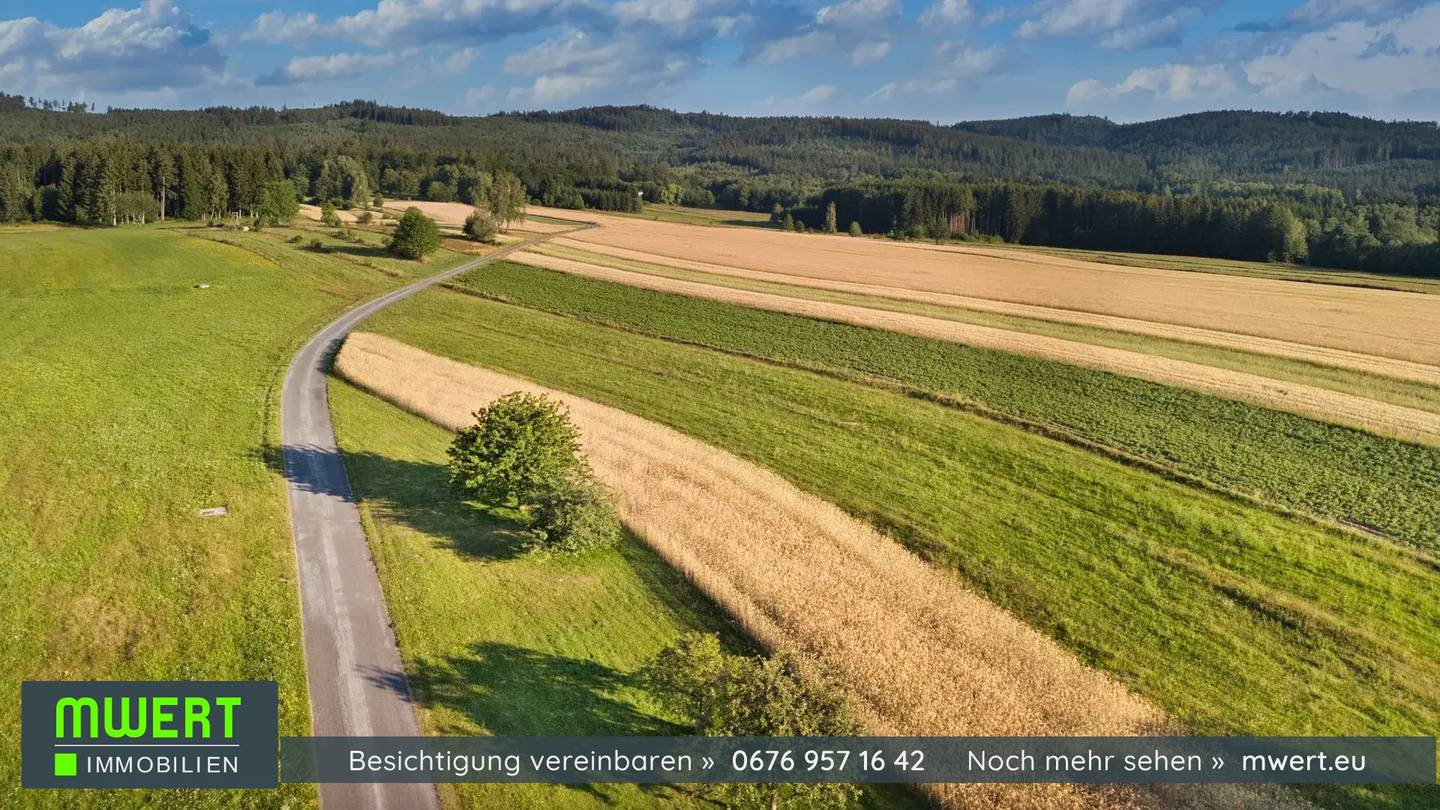 Einfamilienhaus in Ruhelage am Ortsrand