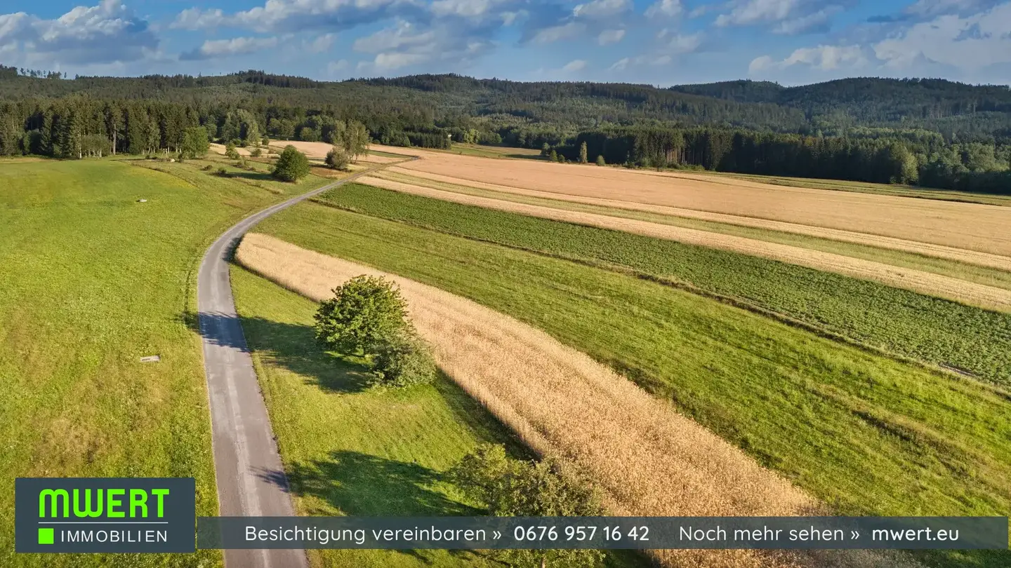 Einfamilienhaus in Ruhelage am Ortsrand
