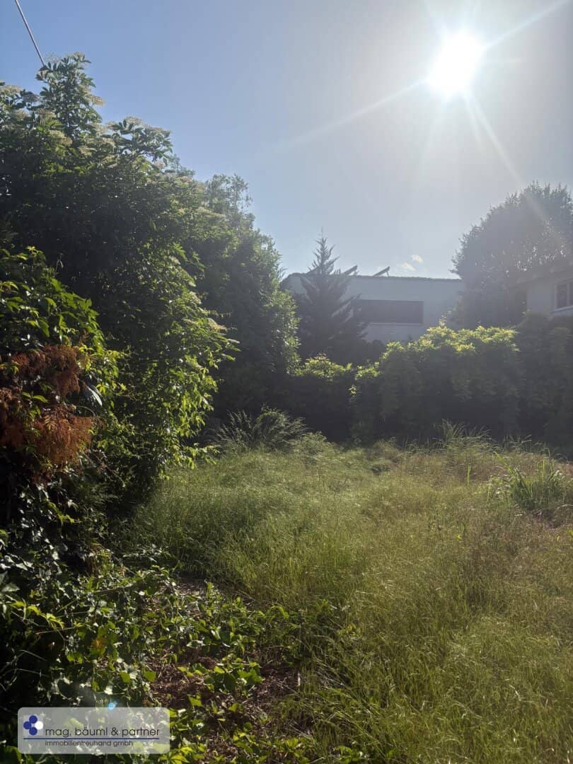 Neu Brasilien - Alte Donau -  Kleingarten -Eigengrund