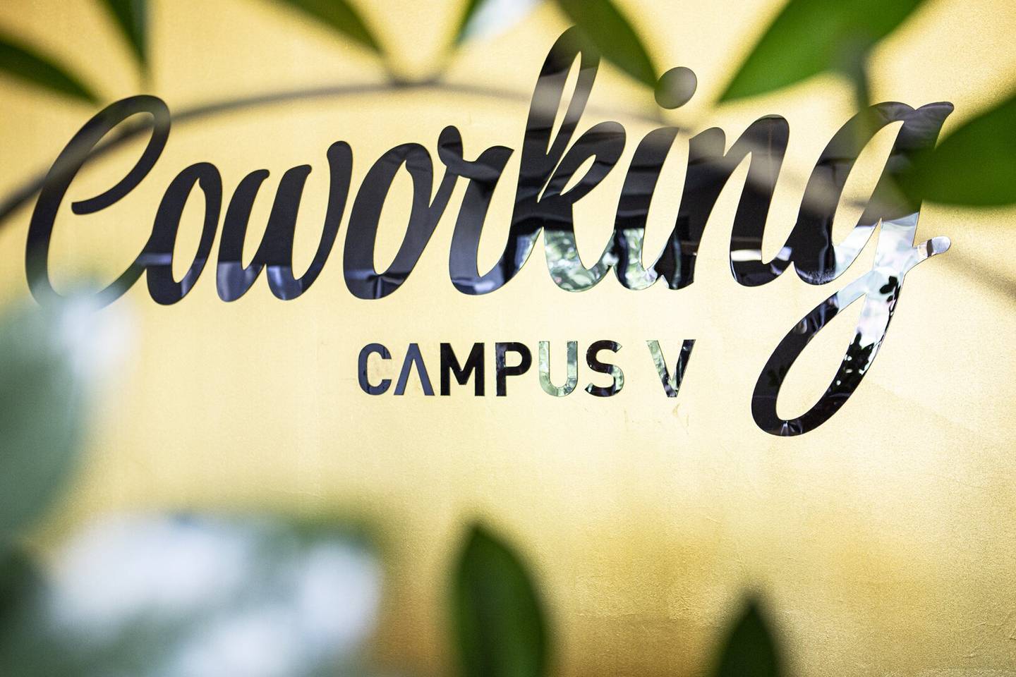 Coworking Office at CAMPUS V | Dornbirn