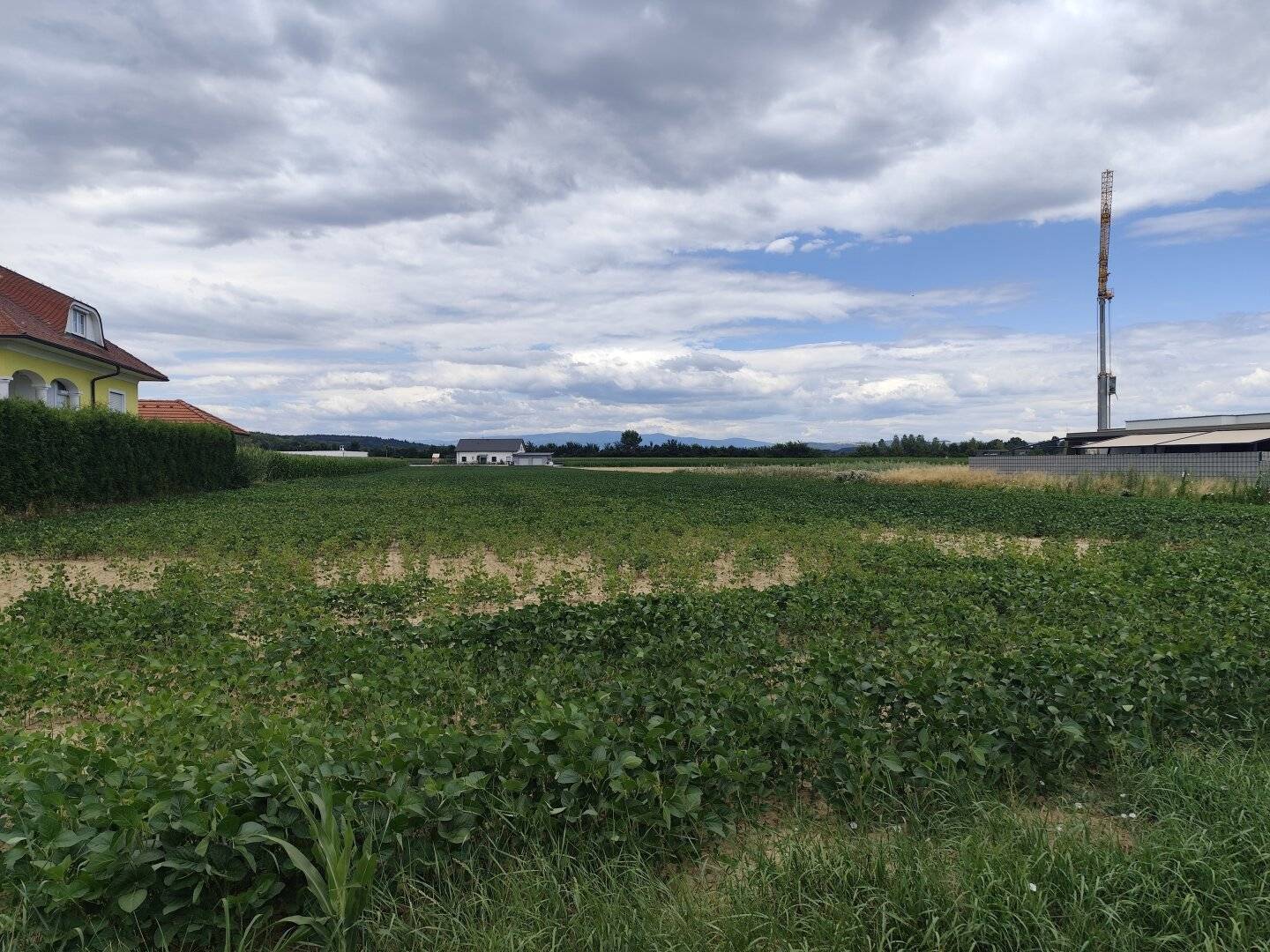 Grundstück in Oberwart, Aufschliessungsgebiet-Wohngebiet 3.615,83 m2  Baulandwohngebiet 954,15 m2
