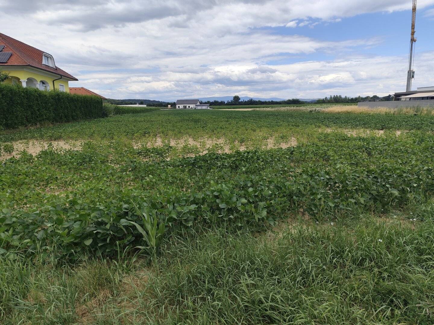 Grundstück in Oberwart, Aufschliessungsgebiet-Wohngebiet 3.615,83 m2  Baulandwohngebiet 954,15 m2
