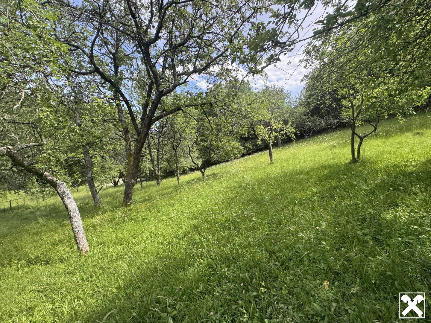 Ruhig gelegenes Naturjuwel mit Scheune Wohnung