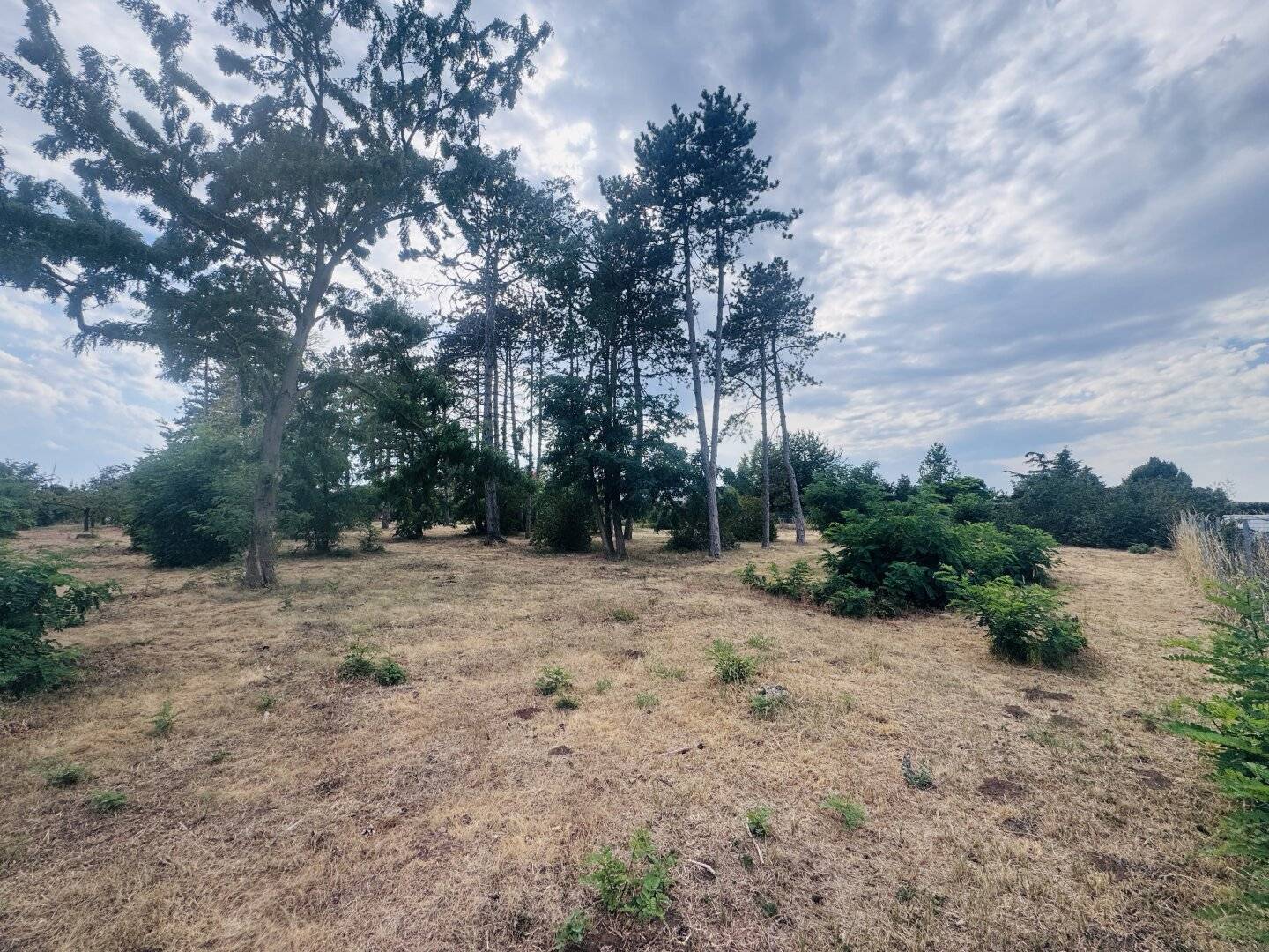 Building plots with excellent value for money – Ideal for owner occupied home or investment