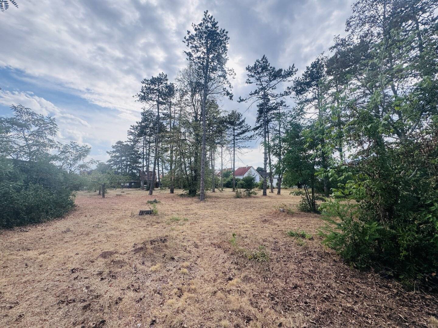Building plots with excellent value for money – Ideal for owner occupied home or investment