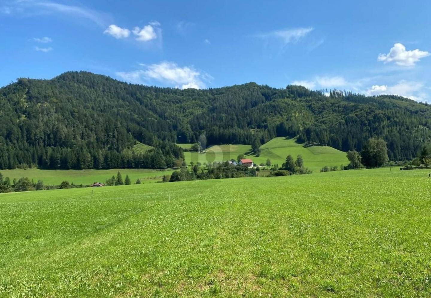 Sonniges ebenes Baugrundstück ruhig Wohnung