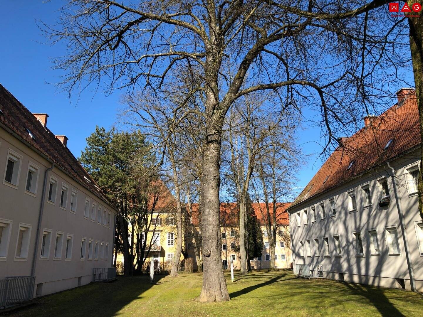 Ruhiges, grünes Wohnen mit optimaler Infrastruktur verspricht Erholung pur und kurze Wege! Schnell sein und diese in Sanierung befindliche Wohnung sichern - bezugsfertig Mitte August!