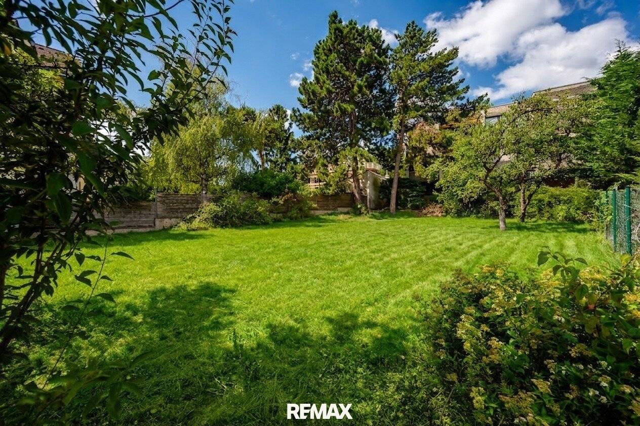 Beautiful level plot in Atzgersdorf/Border Mauer