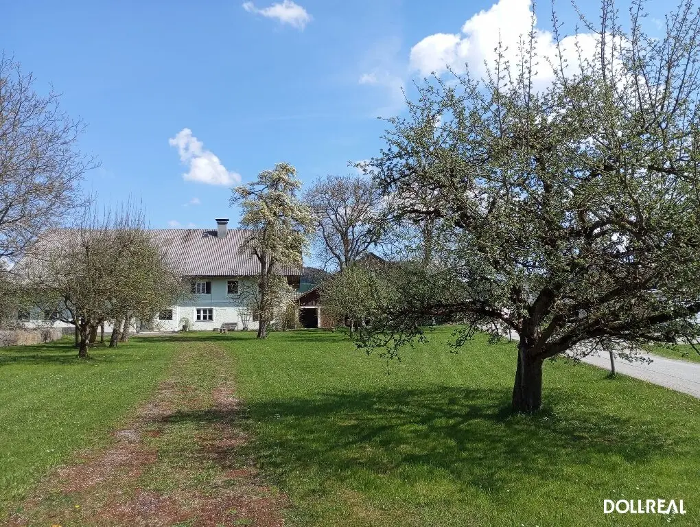 MORE SPACE FOR YOUR HOUSING DREAMS: "Obstgarten 3" in Steindorf near Straßwalchen.
