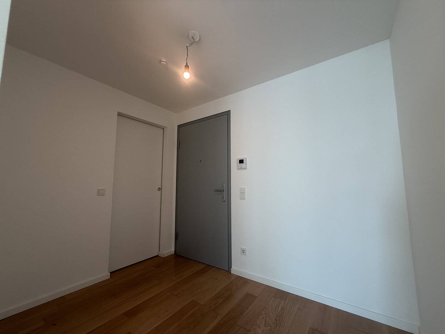 Modern 2-room apartment with balcony