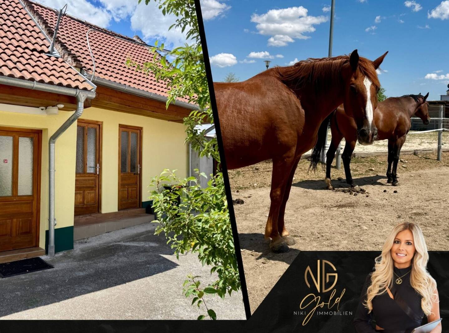 Ein Paradies für Pferdeliebhaber - 3 Wohneinheiten, 7 Boxen, 2 Koppeln, Reitplatz im Mittelburgenland