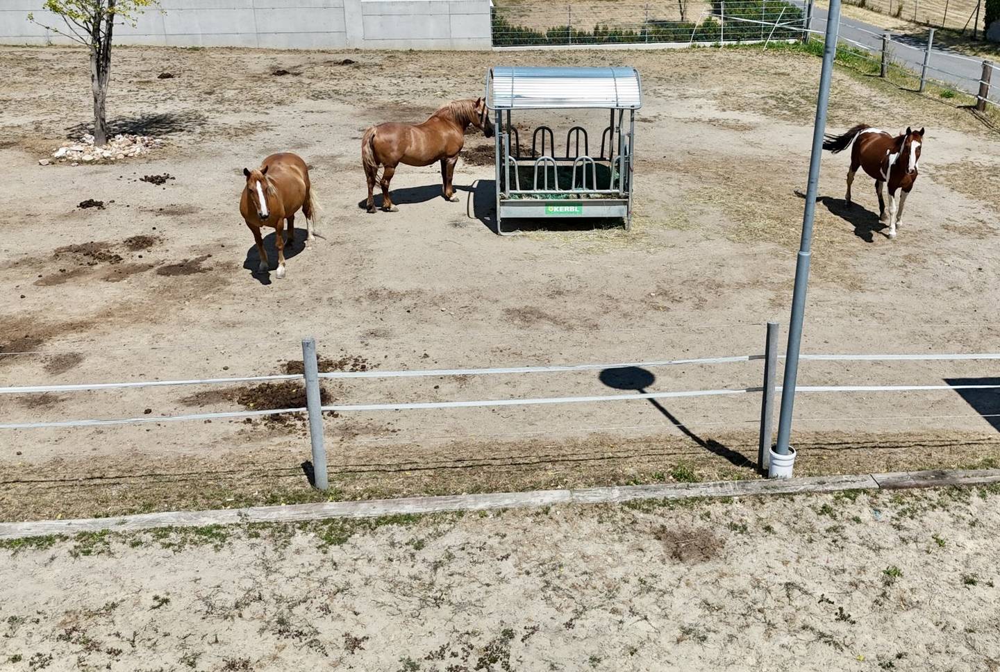 Ein Paradies für Pferdeliebhaber - 3 Wohneinheiten, 7 Boxen, 2 Koppeln, Reitplatz im Mittelburgenland