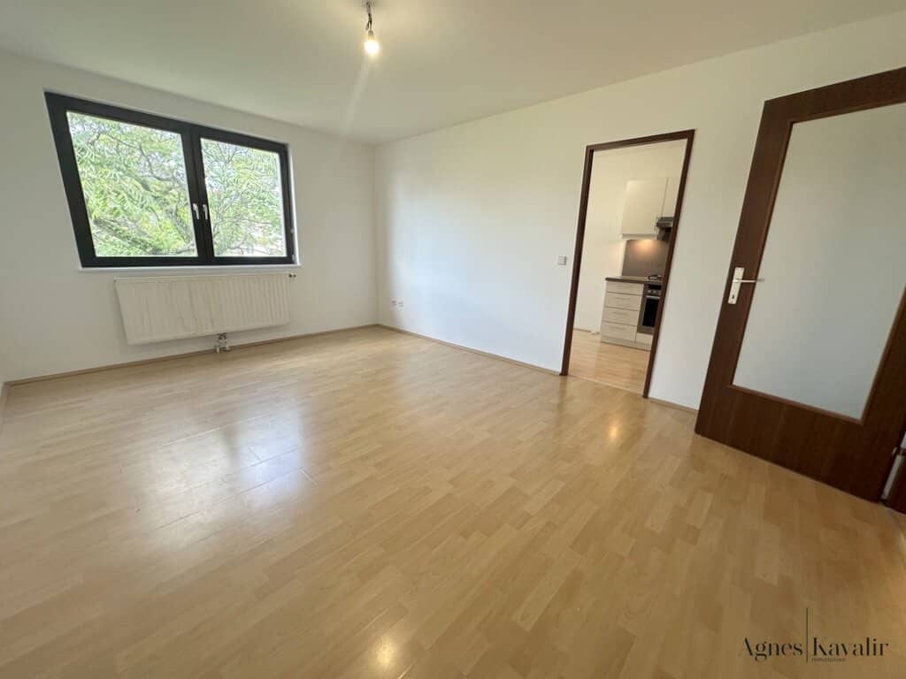 Immobilienbild 3