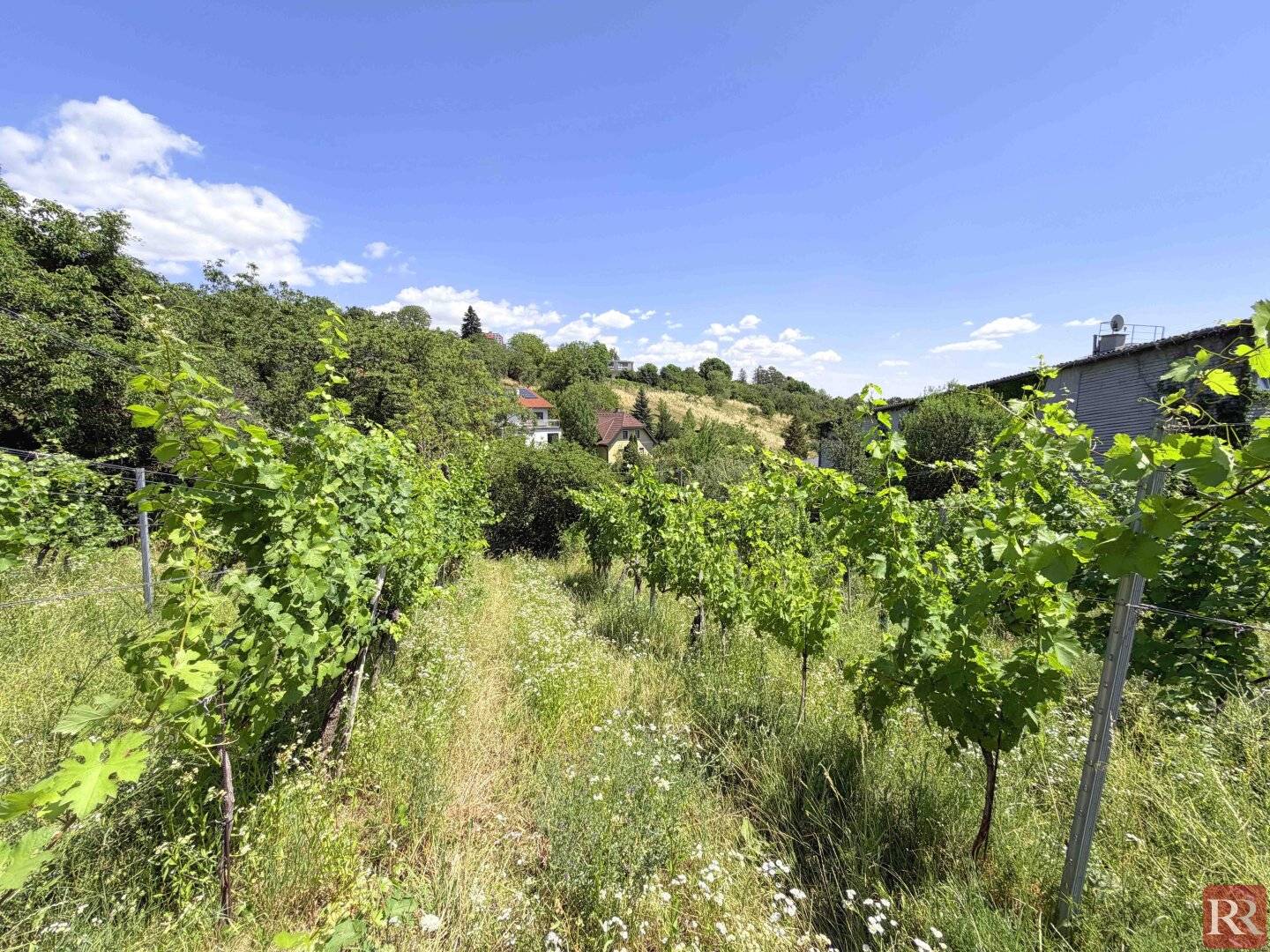 Großzügiges Grundstück mit Weitblick