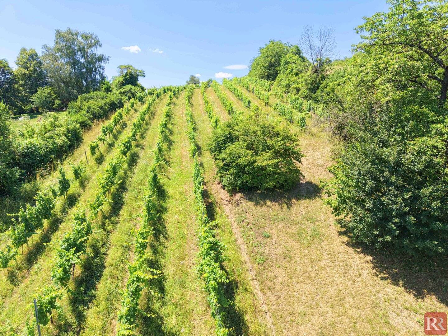 Großzügiges Grundstück mit Weitblick