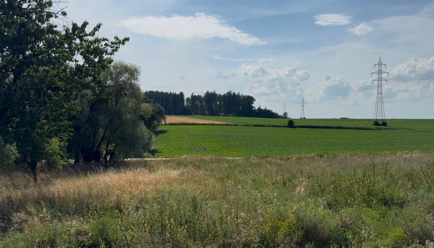 Ackerflächen mit Teilkauf möglich Wohnung