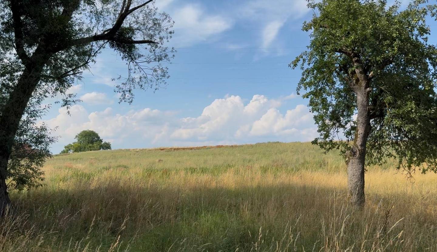 Ackerflächen mit Teilkauf möglich Wohnung