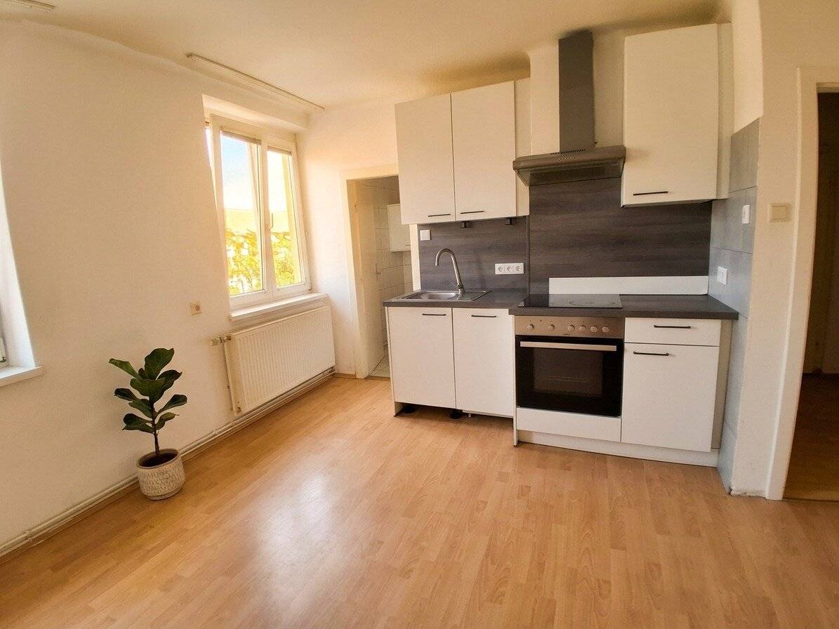 Spacious rental apartment in Gmünd, great communal garden!