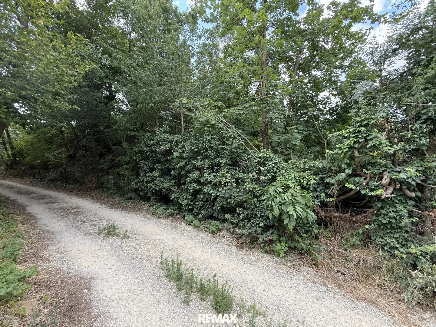 Building plot 440 m² with garage and green view in 2821 Lanzenkirchen, only €70.400