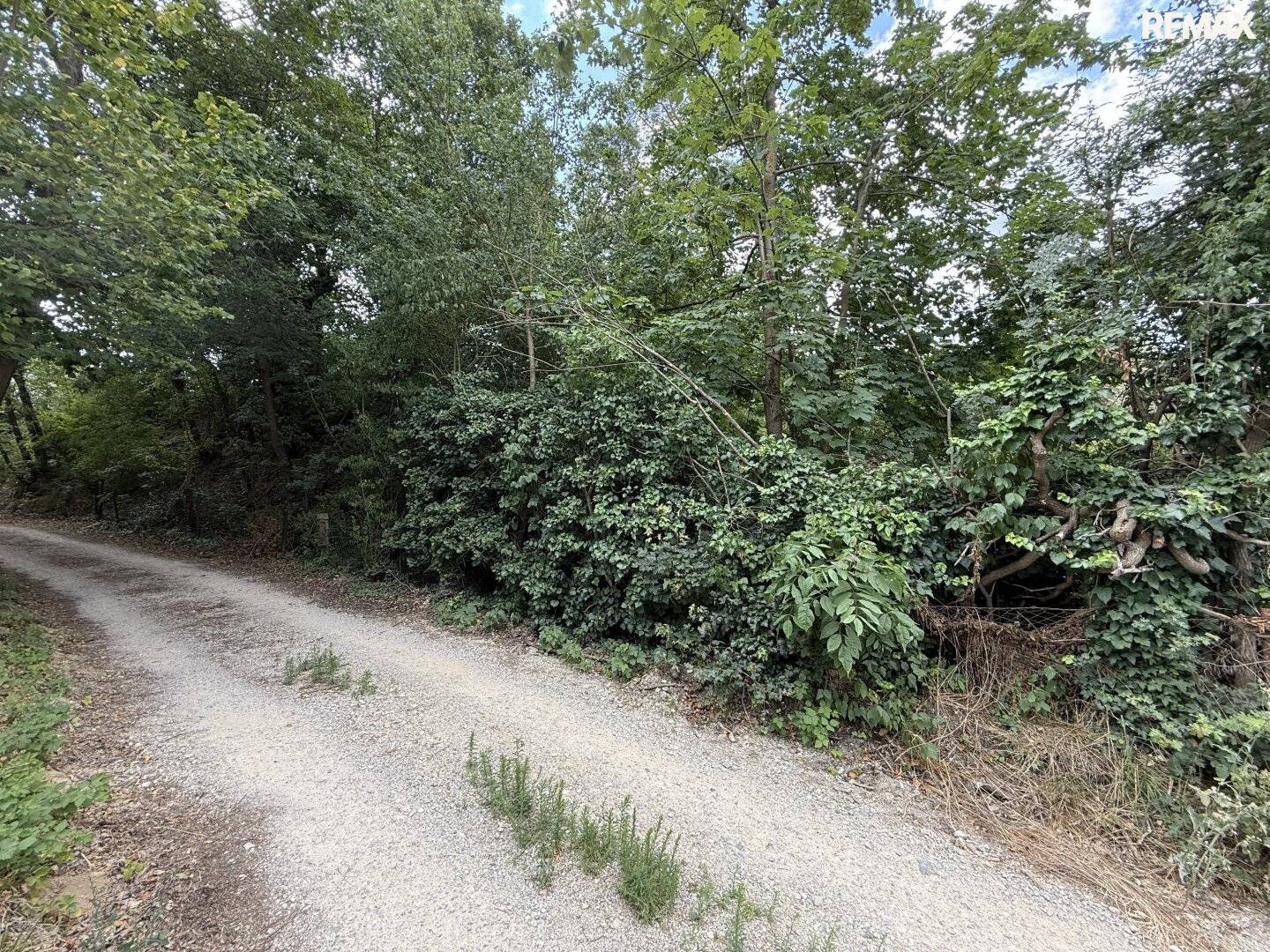 Baugrund 440m² mit Garage und Grünblick in 2821 Lanzenkirchen – nur 70.400 €!