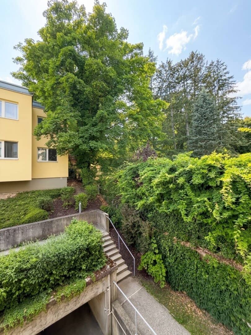 Freshly renovated 3-room apartment with balcony in green prime location next to Pötzleinsdorfer Schlosspark