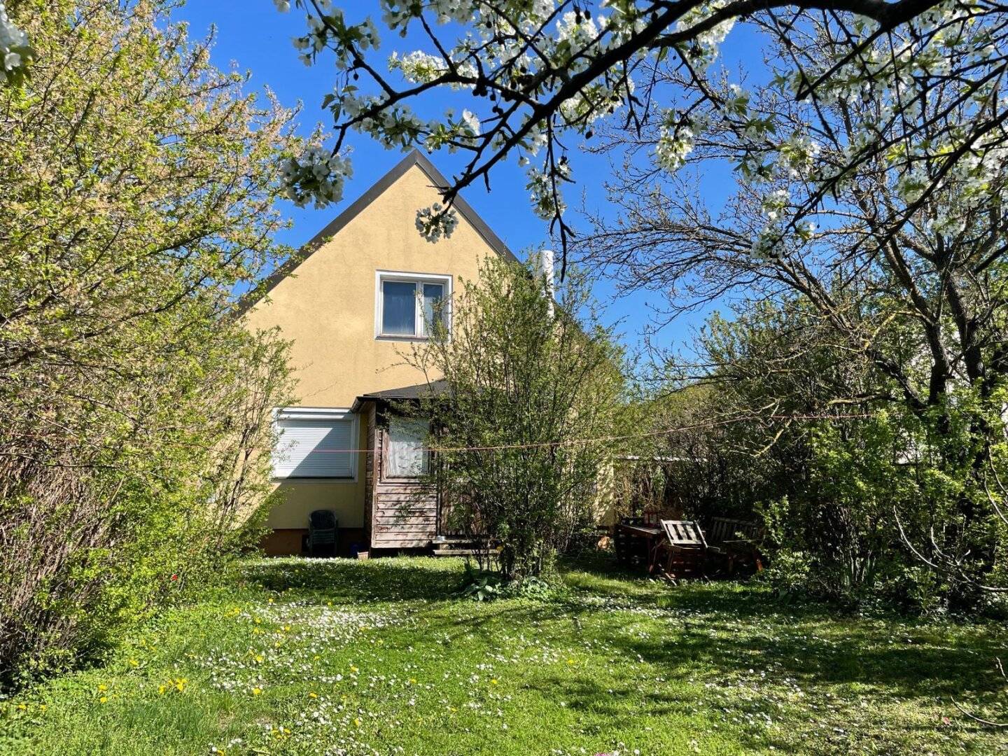Einfamilienhaus mit Vollkeller + 2tes Kellergeschoss mit ca.75m²  (ehemals. Champion Zucht)
