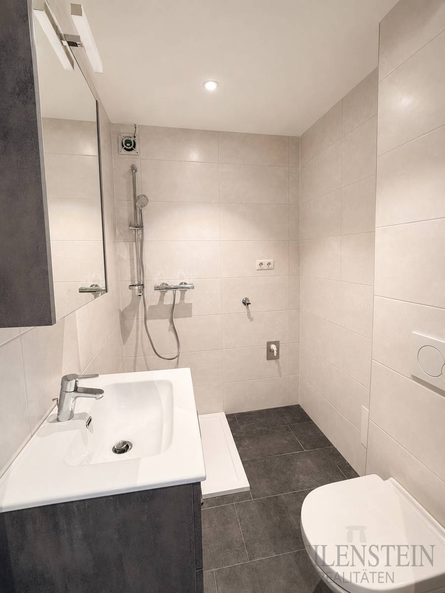 Sunny newly renovated apartment with balcony and garage