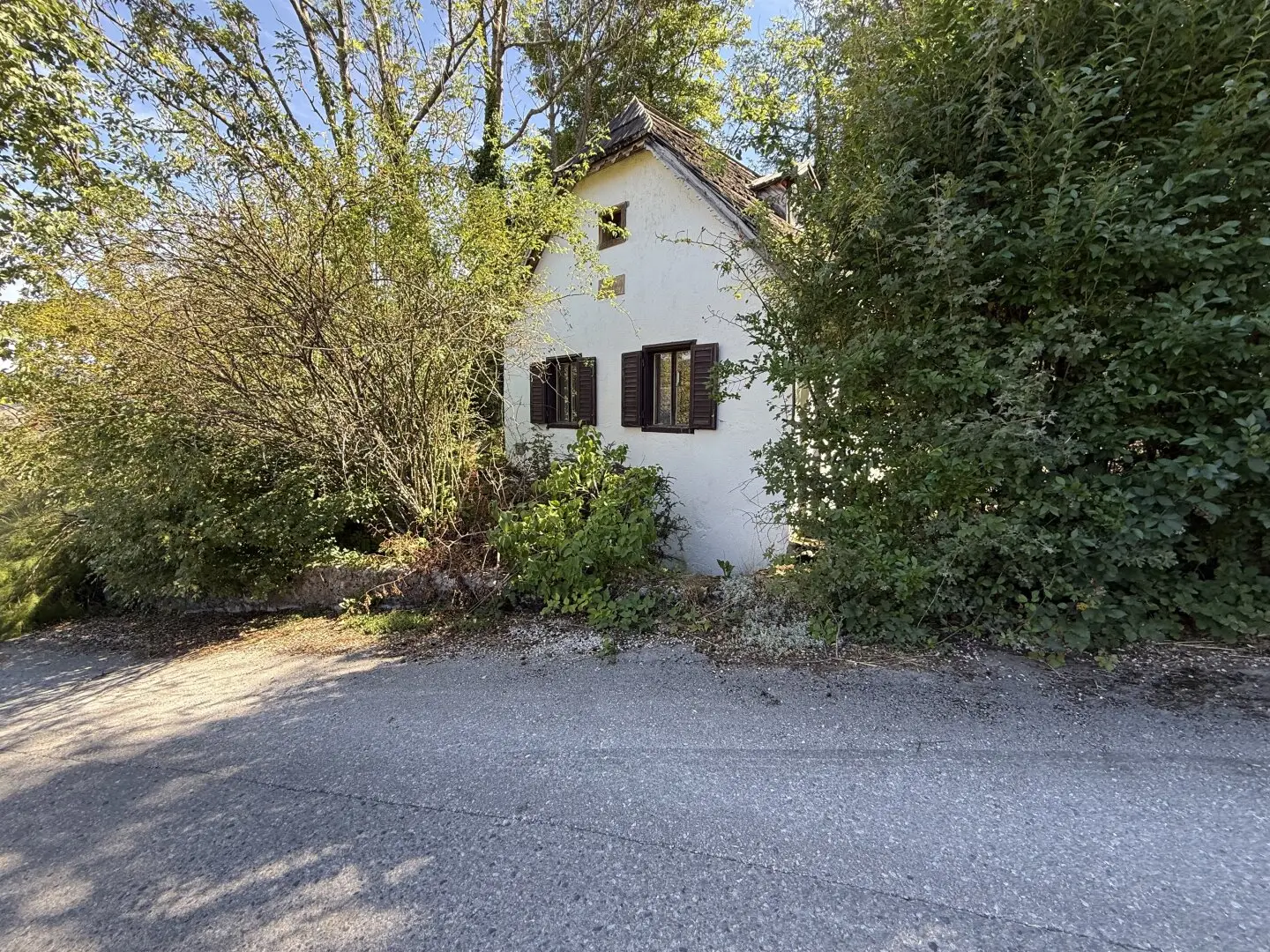 Miesenbach im Piestingtal - zwei renovierungsbedürftige Häuser in erhöhter Streusiedlung