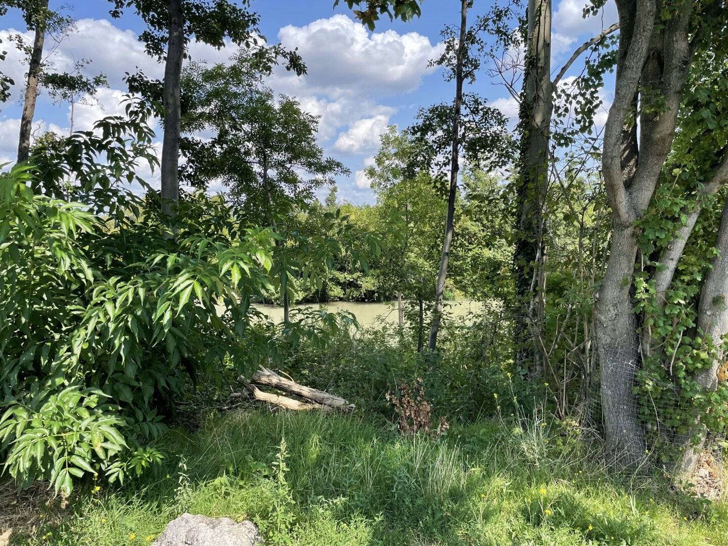 Kleingartenidyll beim Marchfelder Kanal im Eigentum