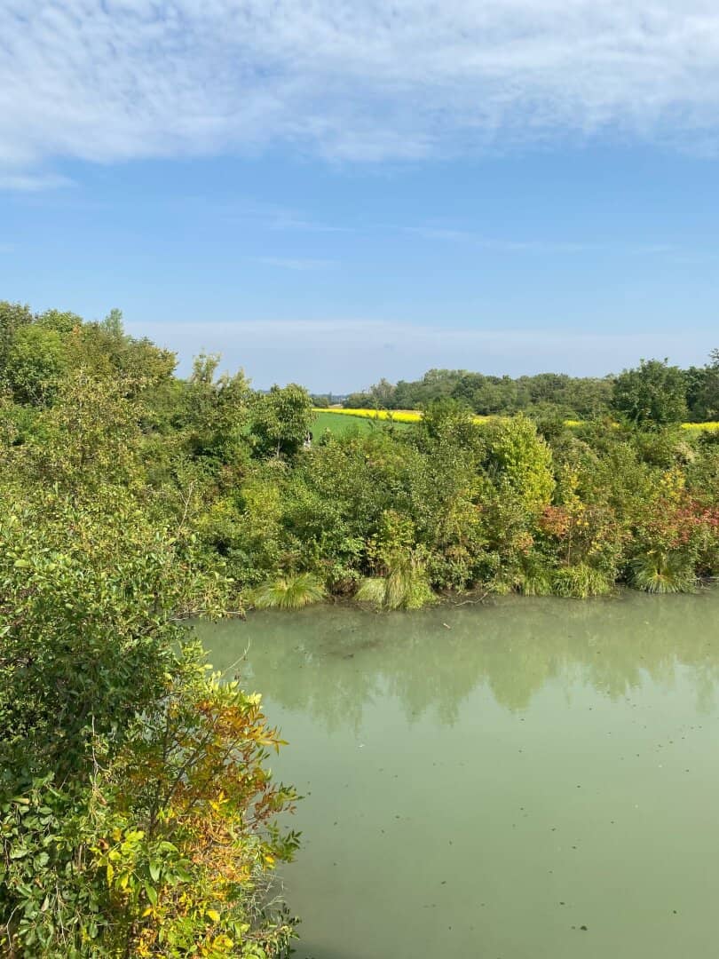 Kleingartenidyll beim Marchfelder Kanal im Eigentum