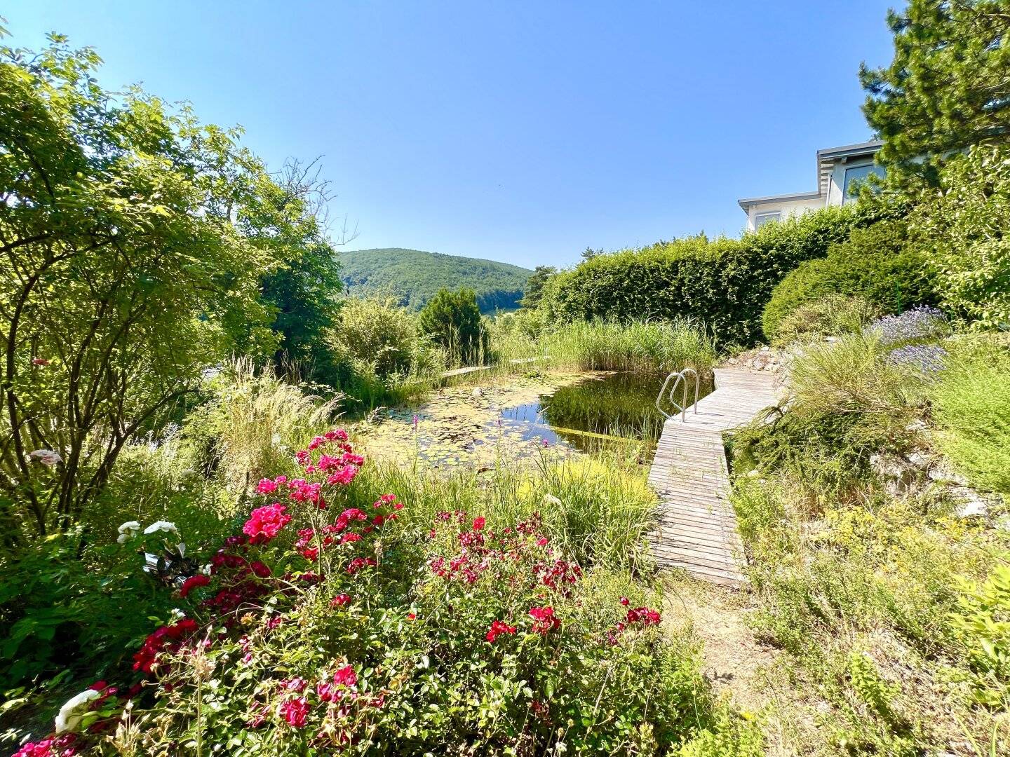 South-facing residential dream in the green with swimming pond and forest access