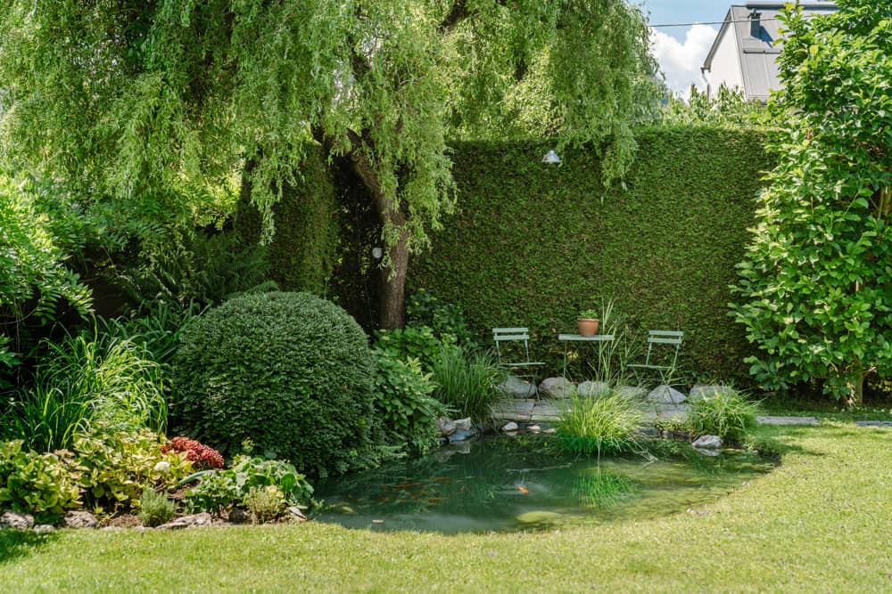 Modernized Wohnung with garden and pool
