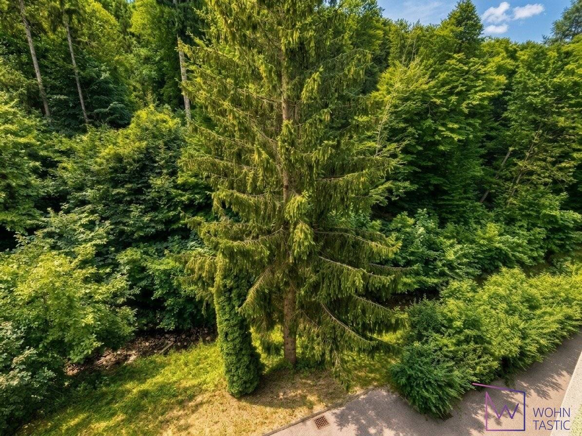 Grünblick inklusive: 3 Zimmer, Loggia, Lift und Garage in Mauerbach