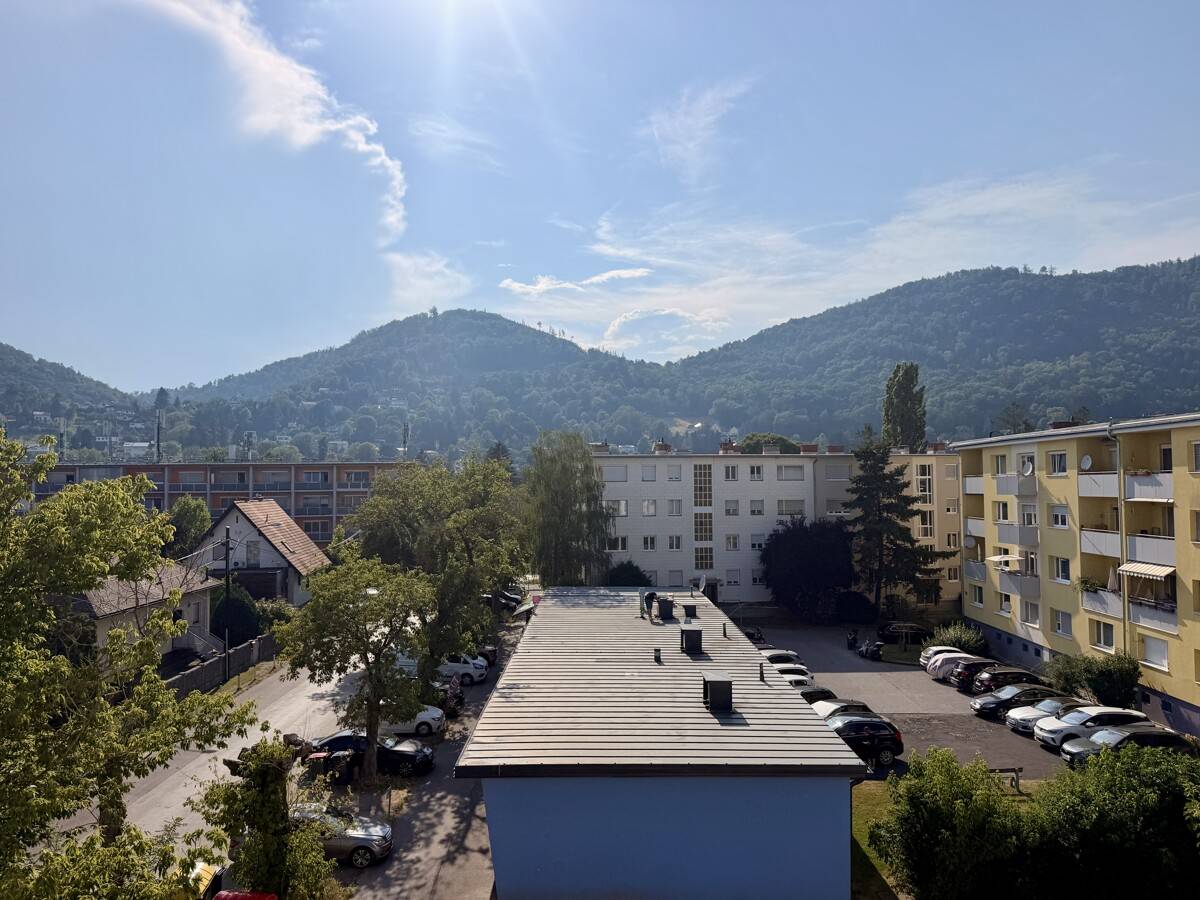 Helle Wohnung mit Loggia und möblierter Wohnküche