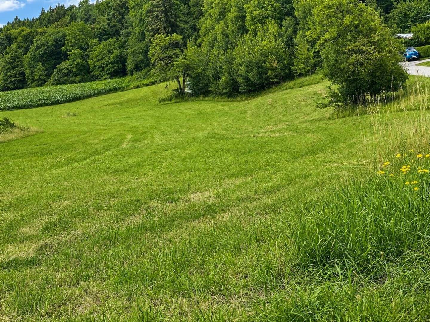 Exklusives Baugrundstück in Wernberg – Wohnen im Grünen mit viel Freiraum