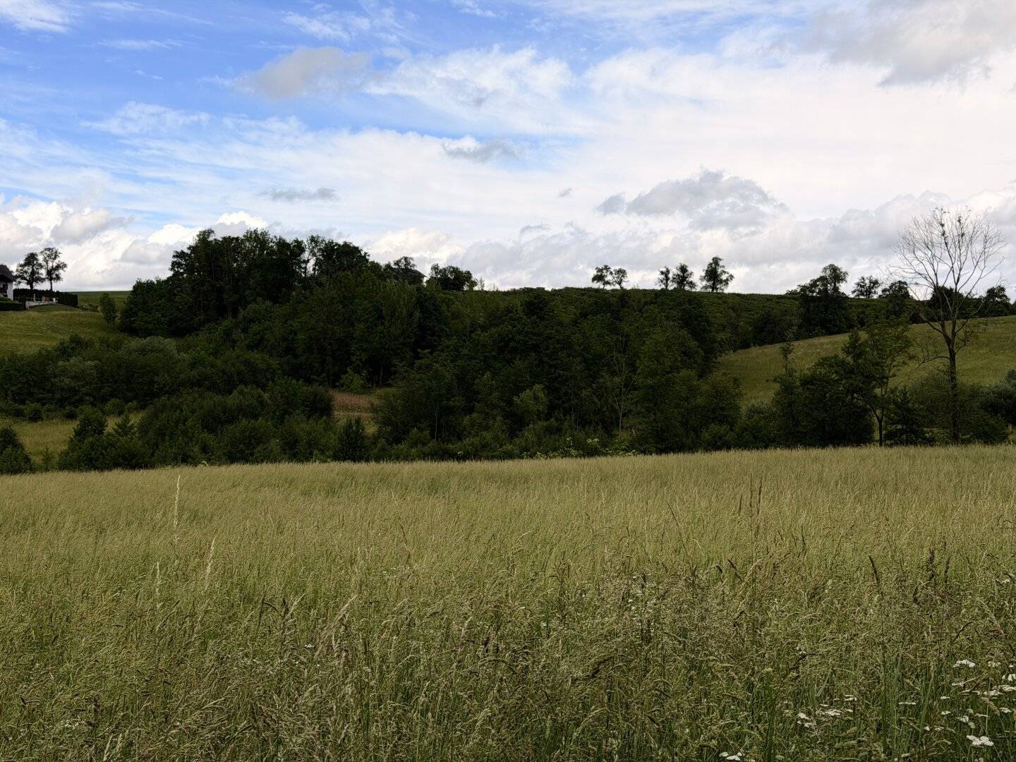 Landwirtschaftliche Fläche zwischen Fraham und Scharten zu verkaufen