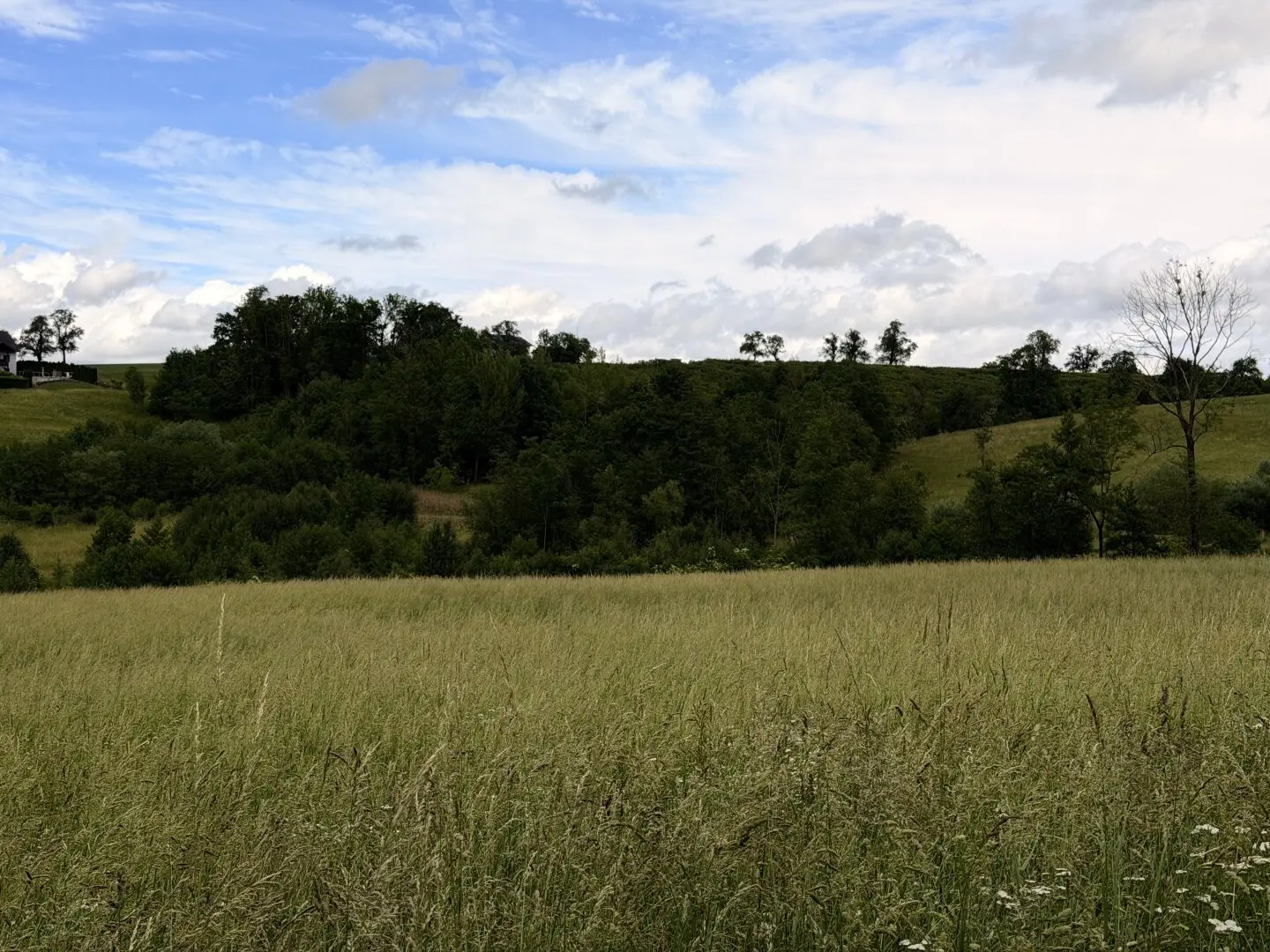 Agricultural land between Fraham and Scharten for sale
