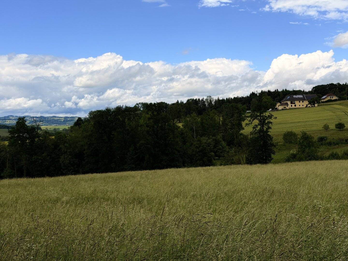 Landwirtschaftliche Fläche zwischen Fraham und Scharten zu verkaufen