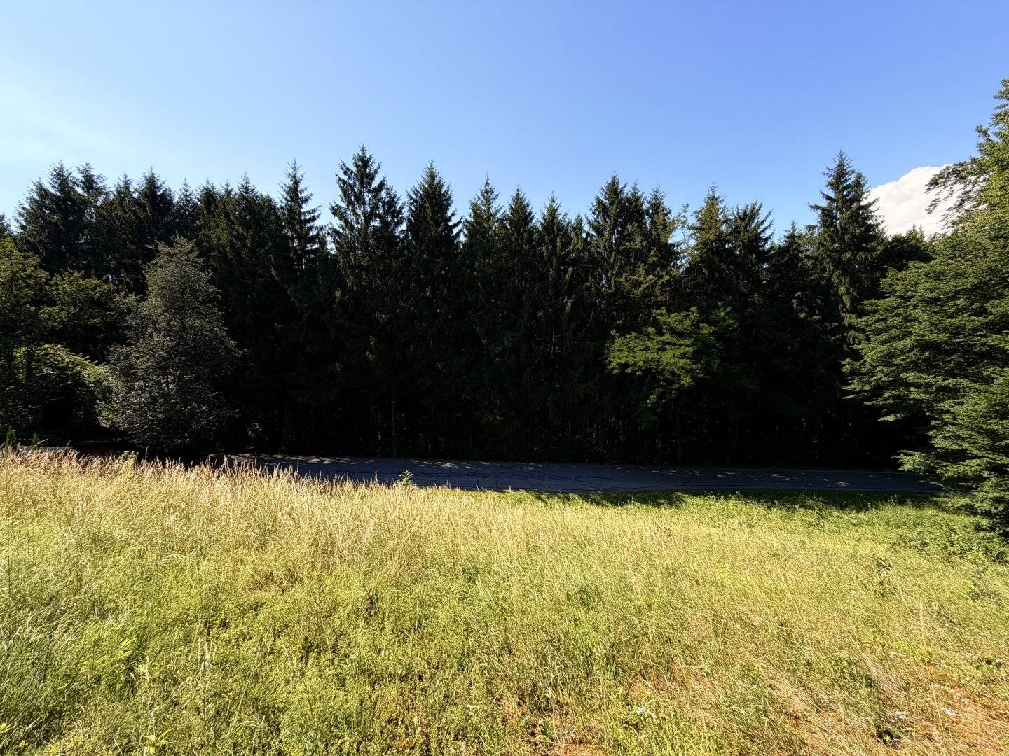 Bauland bei Burg Clam – ganz ohne Bauzwang