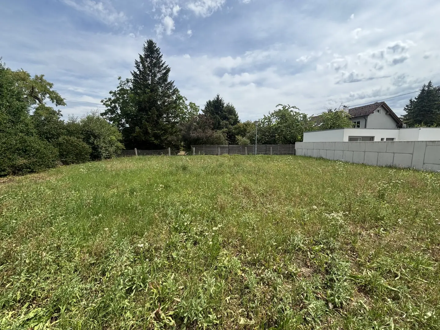 Sunny plot in quiet location