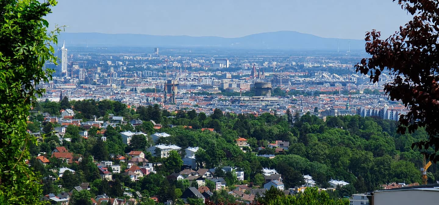 Between the Vienna Woods and the Skyline, Dream Plot with Building Permit