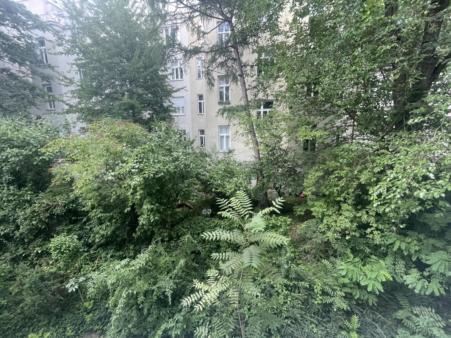 Immobilienbild 4