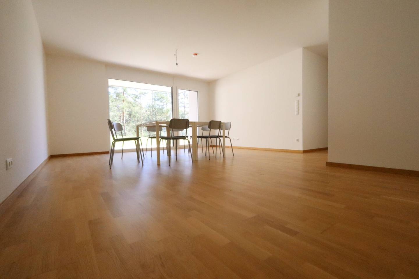 Immobilienbild 4