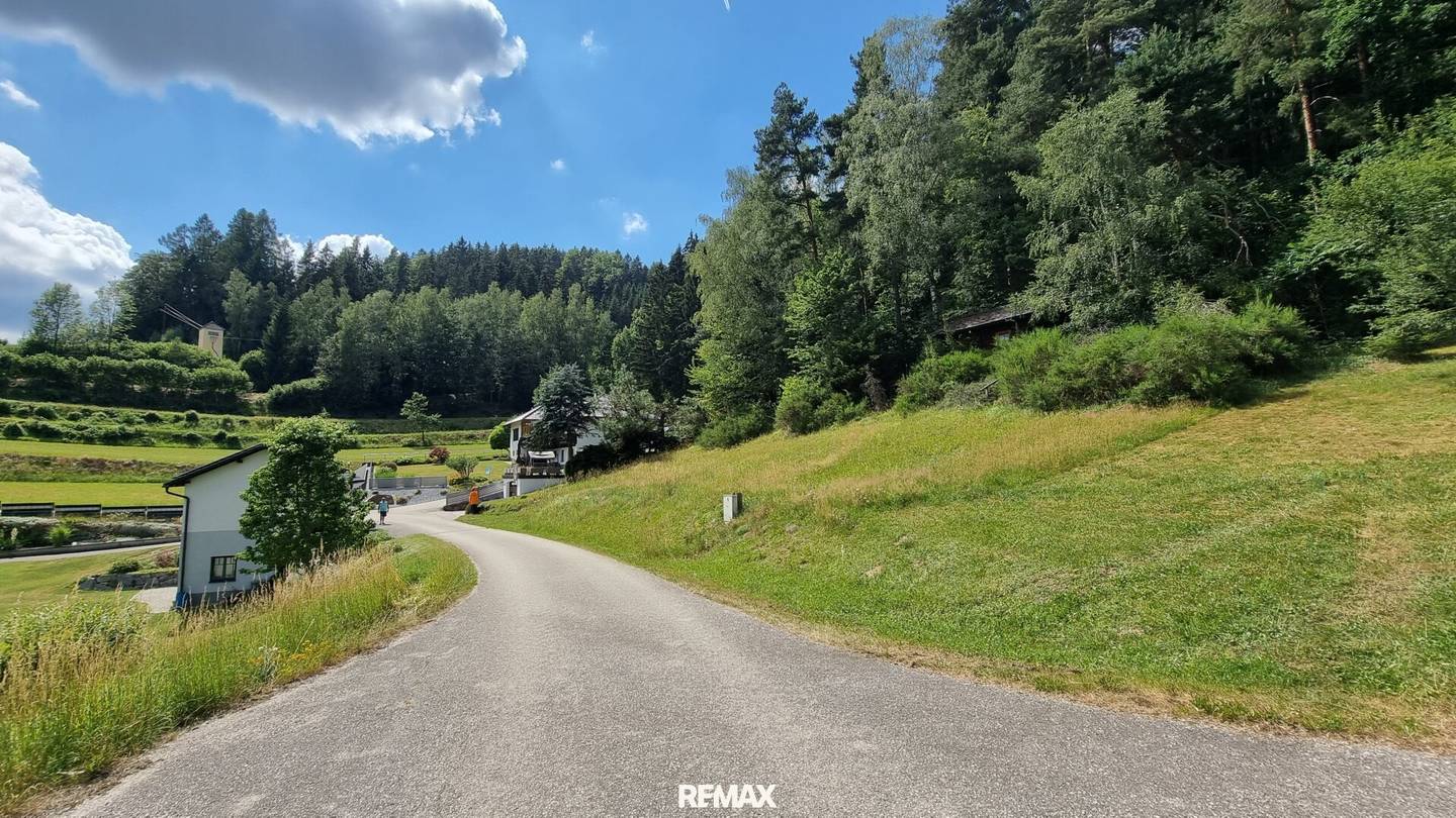 Ruhiges Baugrundstück mitten in der Natur mit eigenem Wald