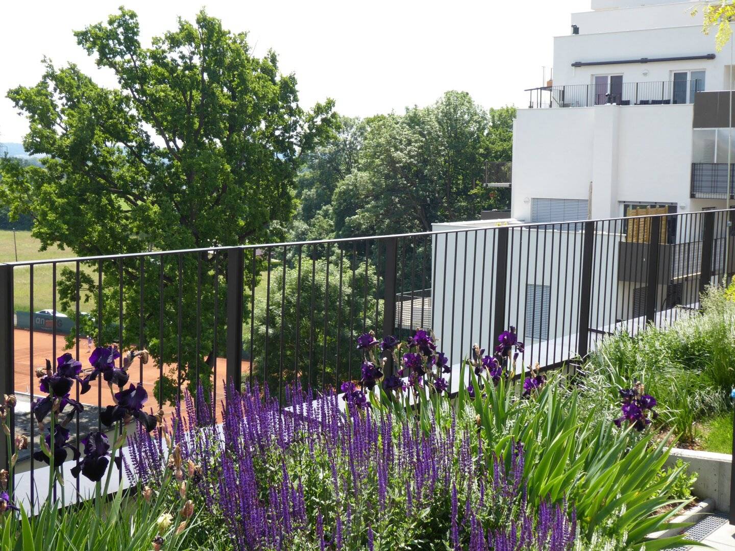2-Zimmer Wohnung im Brauquartier Puntigam