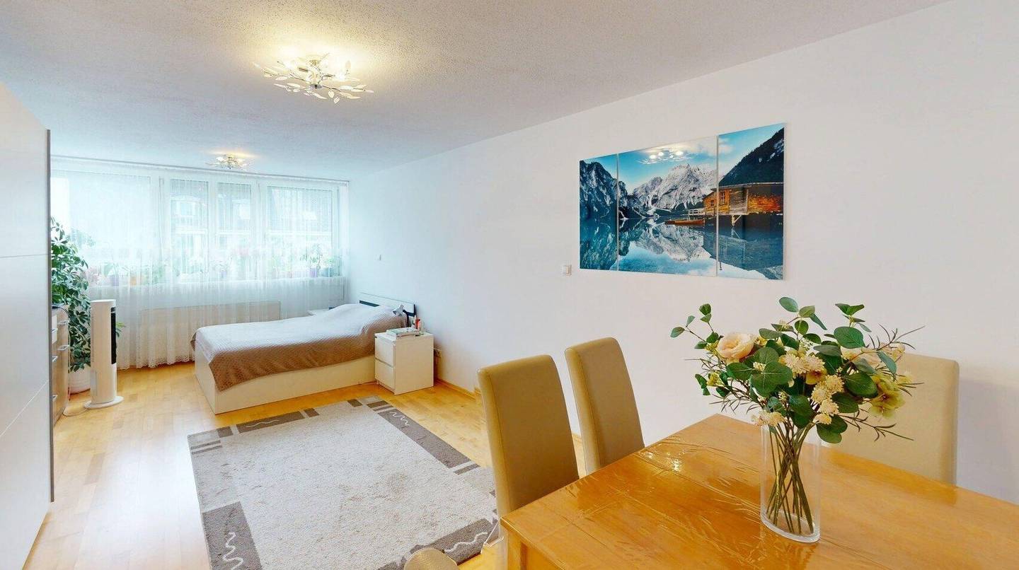 3-room apartment in desirable location near the Alte Donau